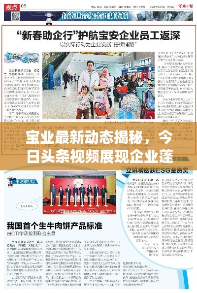 宝业最新动态揭秘，今日头条视频展现企业蓬勃发展新面貌