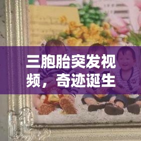 金石为开 第2页