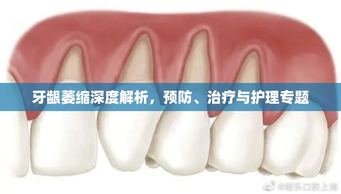 雅量高致 第2页