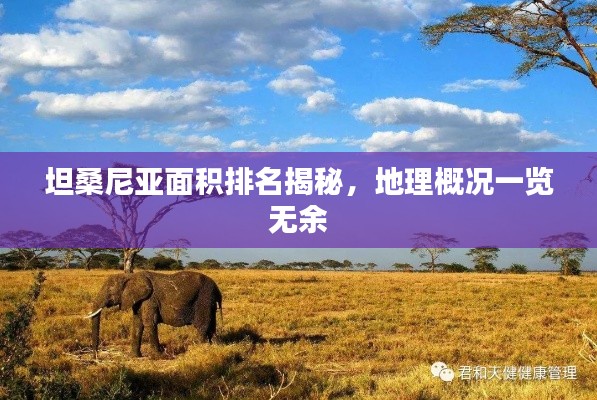 浅笑轻吟梦一曲 第3页