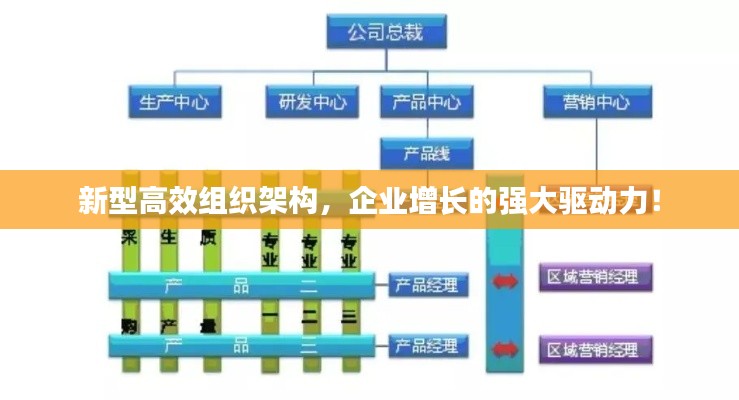 新型高效组织架构，企业增长的强大驱动力！