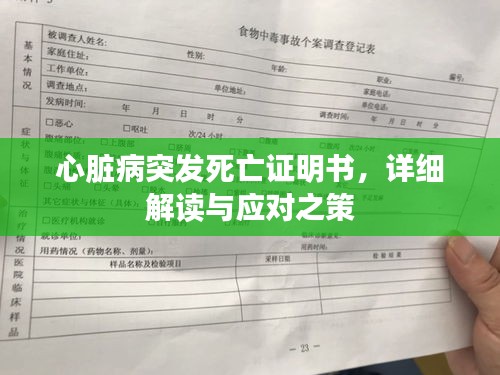 心脏病突发死亡证明书，详细解读与应对之策