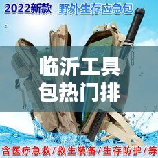 钗荆裙布 第2页