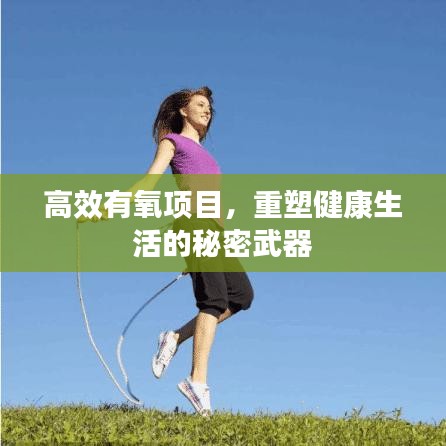 高效有氧项目，重塑健康生活的秘密武器