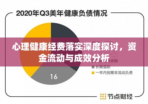 心理健康经费落实深度探讨，资金流动与成效分析