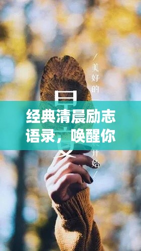 经典清晨励志语录，唤醒你的正能量！