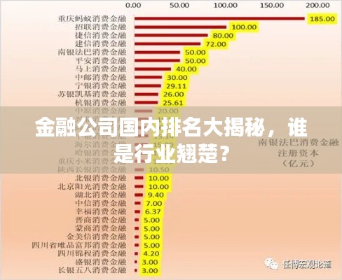 金融公司国内排名大揭秘，谁是行业翘楚？