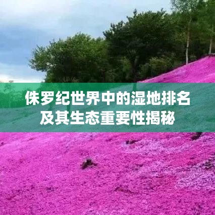 设身处地 第2页