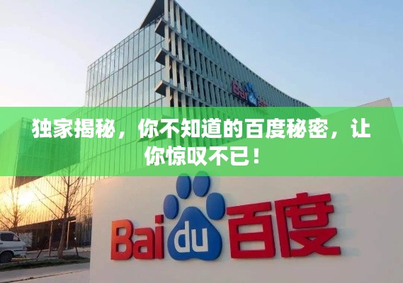 独家揭秘，你不知道的百度秘密，让你惊叹不已！