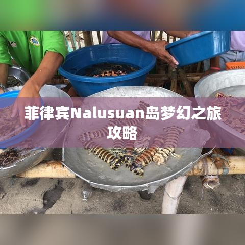 菲律宾Nalusuan岛梦幻之旅攻略
