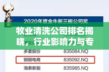 牧业清洗公司排名揭晓，行业影响力与专业实力一览