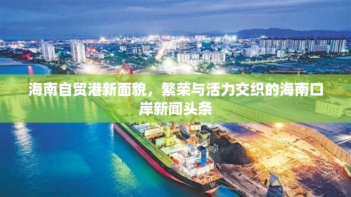 海南自贸港新面貌，繁荣与活力交织的海南口岸新闻头条