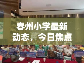 春州小学最新动态，今日焦点消息揭秘