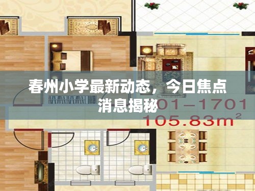 春州小学最新动态,今日焦点消息揭秘