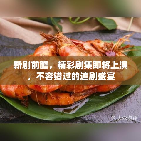 新剧前瞻，精彩剧集即将上演，不容错过的追剧盛宴