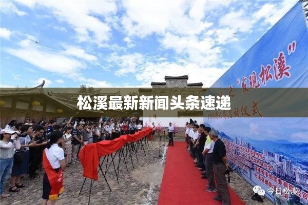 松溪最新新闻头条速递