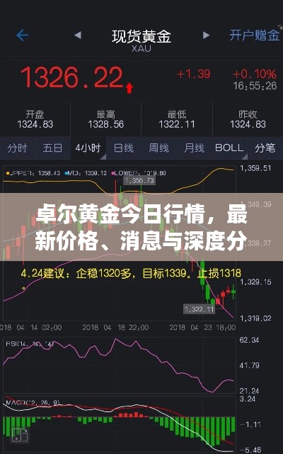 卓尔黄金今日行情，最新价格、消息与深度分析