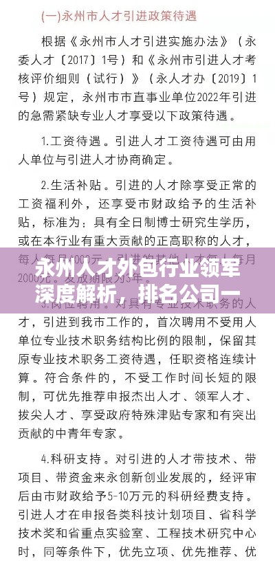 永州人才外包行业领军深度解析，排名公司一览无余