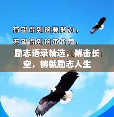 励志语录精选，搏击长空，铸就励志人生