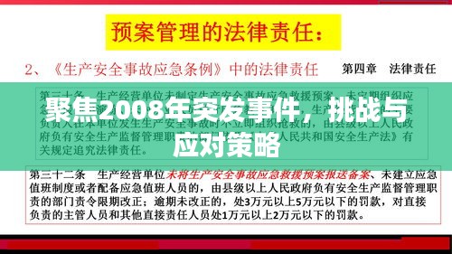 聚焦2008年突发事件，挑战与应对策略