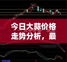 今日大蒜价格走势分析，最新行情一网打尽
