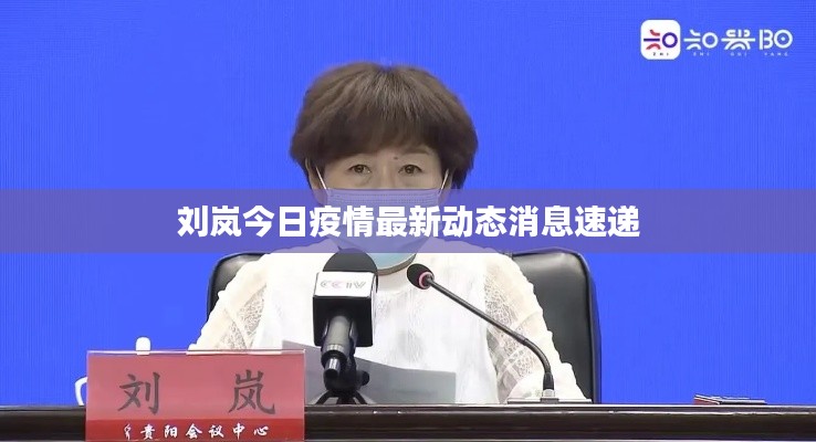 刘岚今日疫情最新动态消息速递