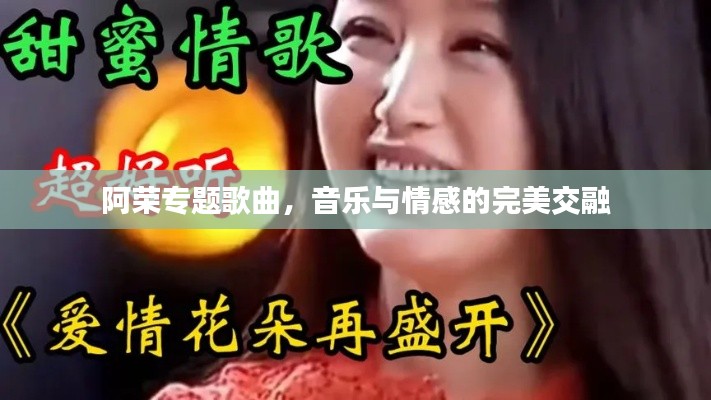 阿荣专题歌曲，音乐与情感的完美交融