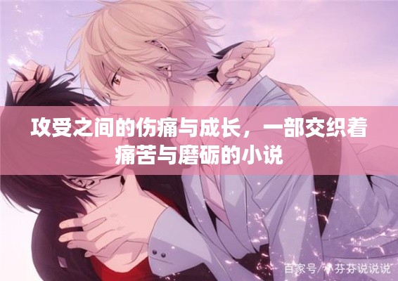 攻受之间的伤痛与成长，一部交织着痛苦与磨砺的小说