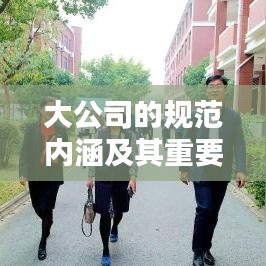 大公司的规范内涵及其重要性探究