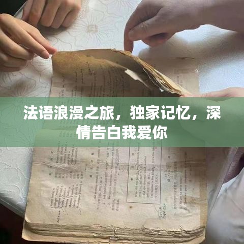 法语浪漫之旅，独家记忆，深情告白我爱你
