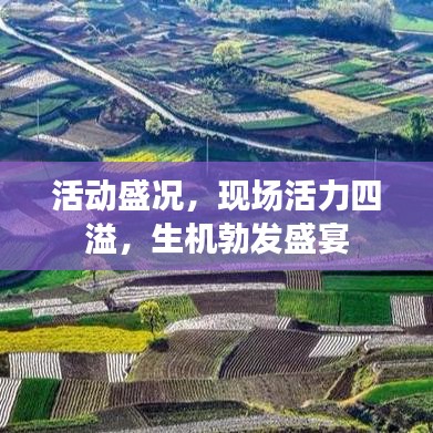 活动盛况，现场活力四溢，生机勃发盛宴