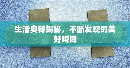 鸿飞雪爪 第2页