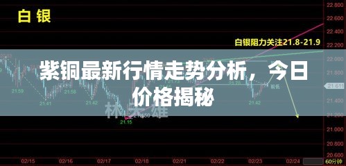 紫铜最新行情走势分析，今日价格揭秘