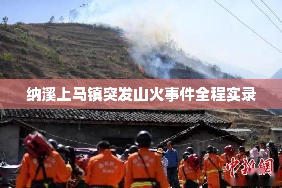 纳溪上马镇突发山火事件全程实录