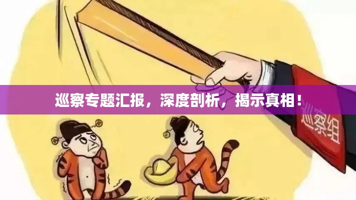 巡察专题汇报，深度剖析，揭示真相！