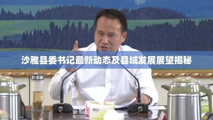 沙雅县委书记最新动态及县域发展展望揭秘