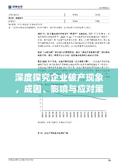 深度探究企业破产现象，成因、影响与应对策略