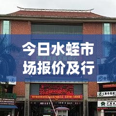 今日水蛭市场报价及行情深度解析，图片辅助洞悉趋势