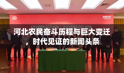 还淳反朴 第2页