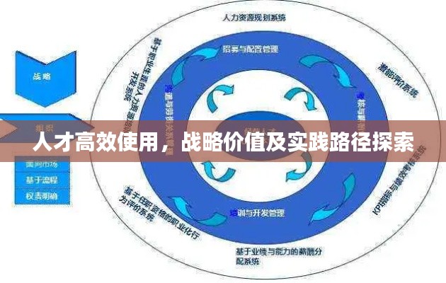 人才高效使用,战略价值及实践路径探索