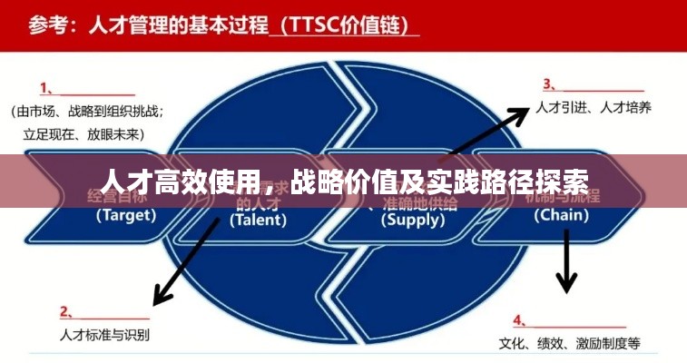 人才高效使用,战略价值及实践路径探索