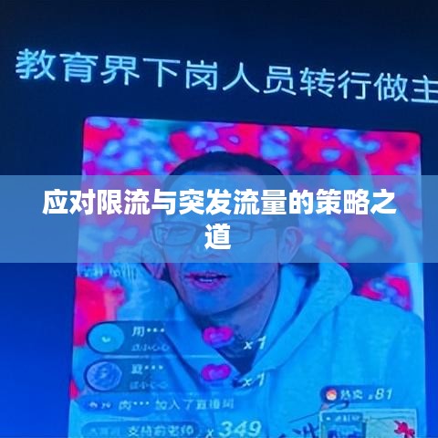 应对限流与突发流量的策略之道