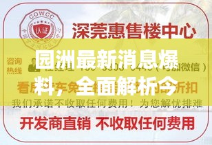 园洲最新消息爆料，全面解析今日热点事件