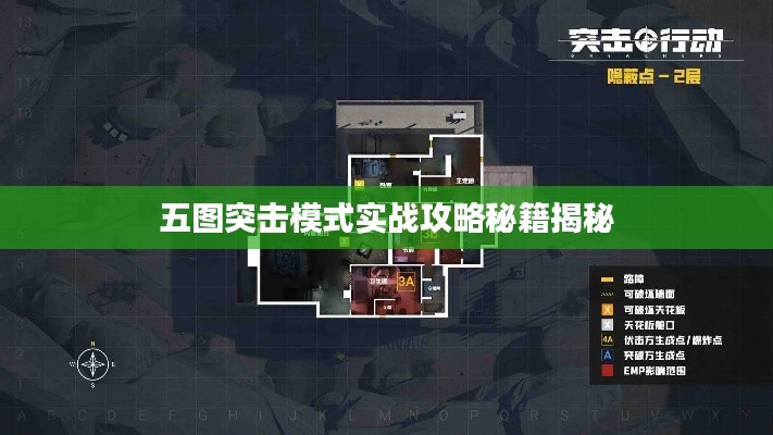 东张西望 第2页
