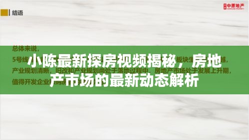 小陈最新探房视频揭秘，房地产市场的最新动态解析