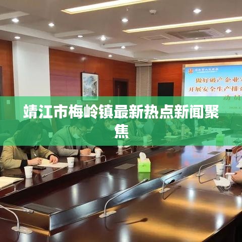 靖江市梅岭镇最新热点新闻聚焦