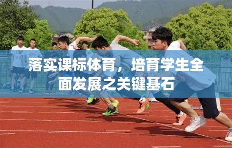 落实课标体育，培育学生全面发展之关键基石