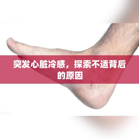 淡泊以明志，宁静以致远 第2页