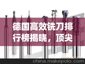 百鸟归巢 第3页