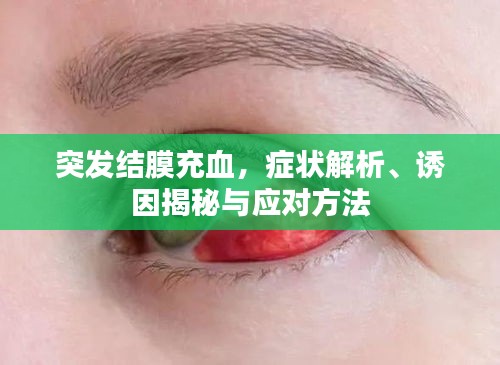 集腋成裘 第3页